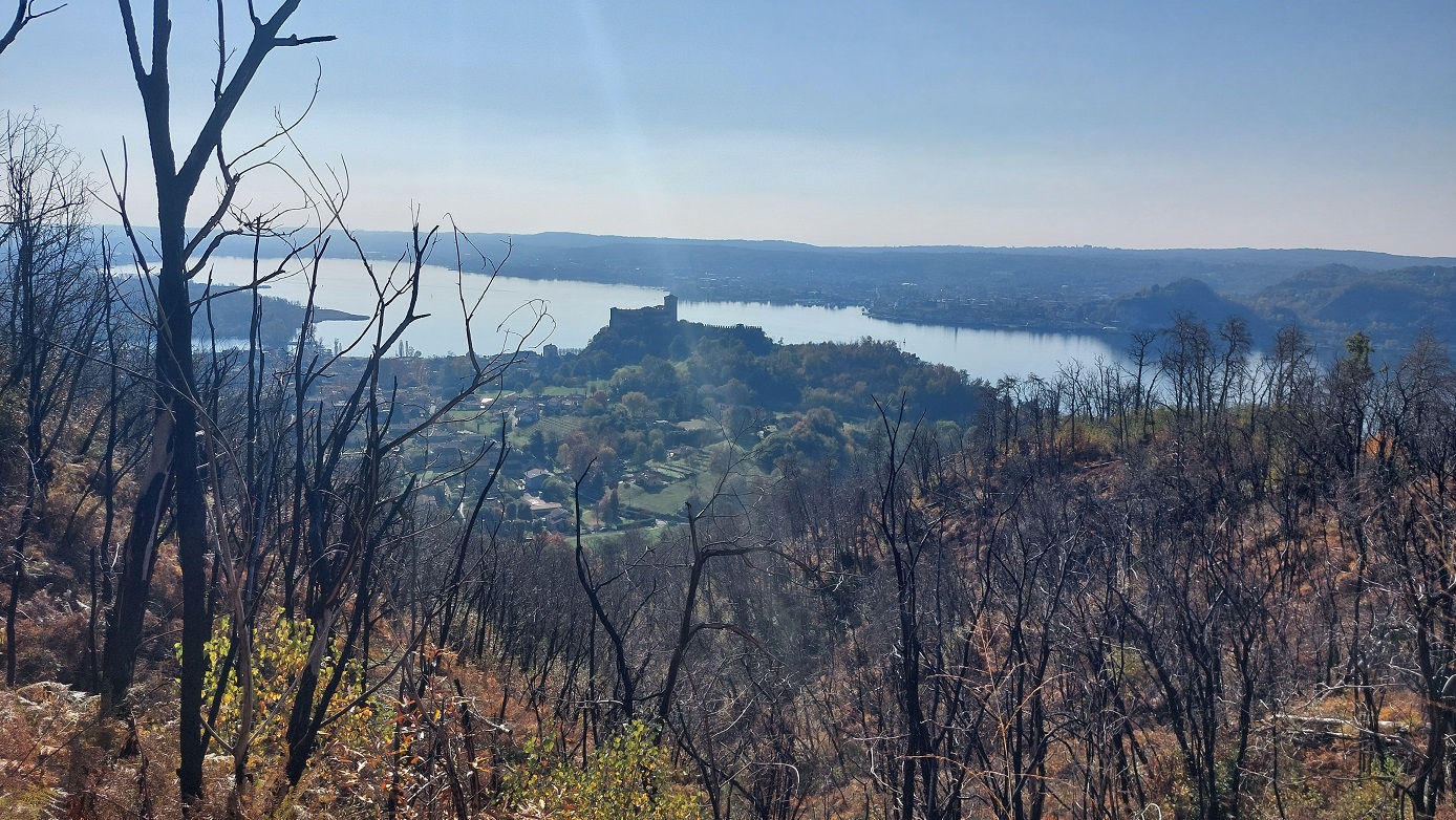 Panorama lago