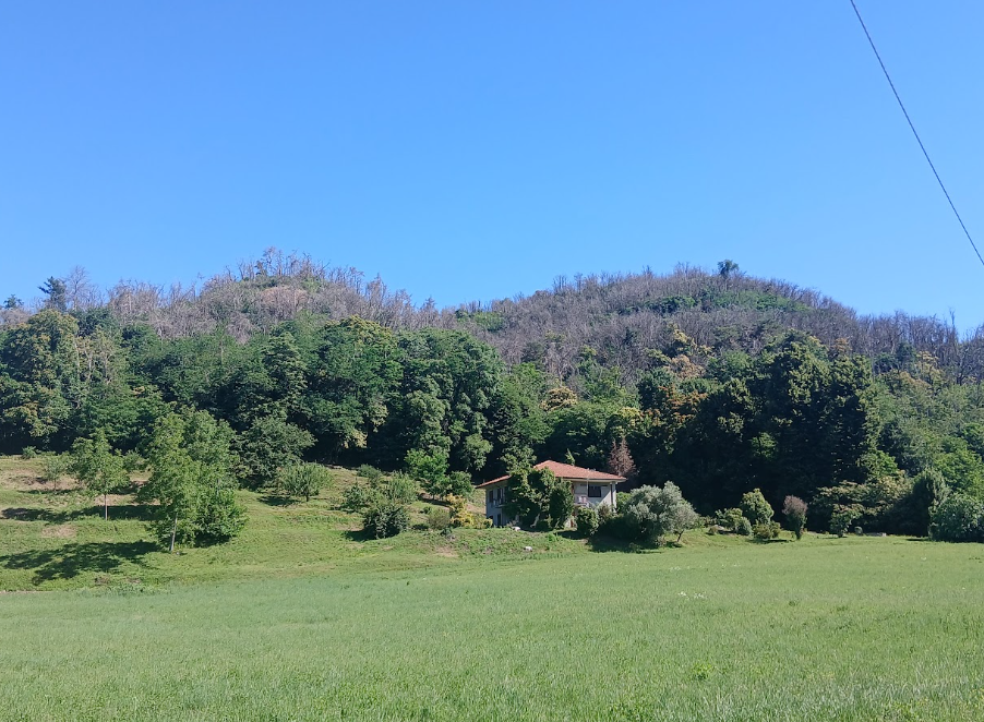 collina incendio