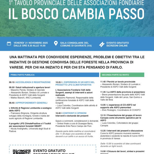 Programma il bosco cambia passo