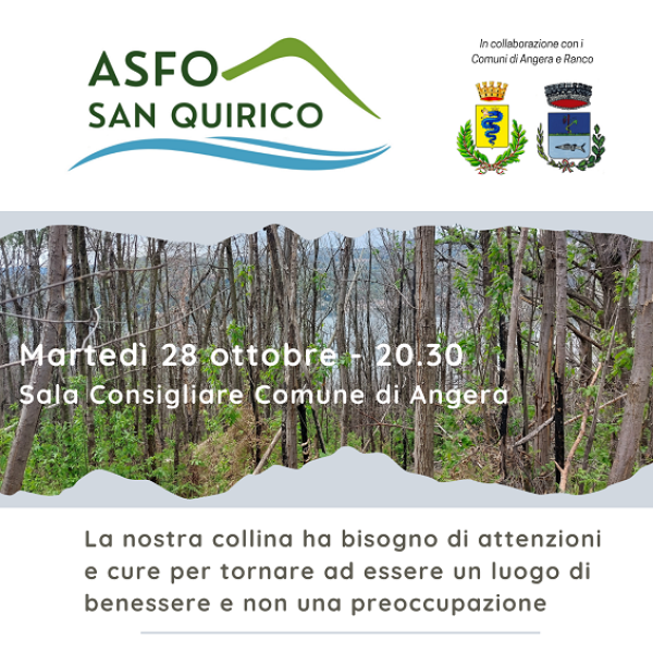 Volantino 28.10